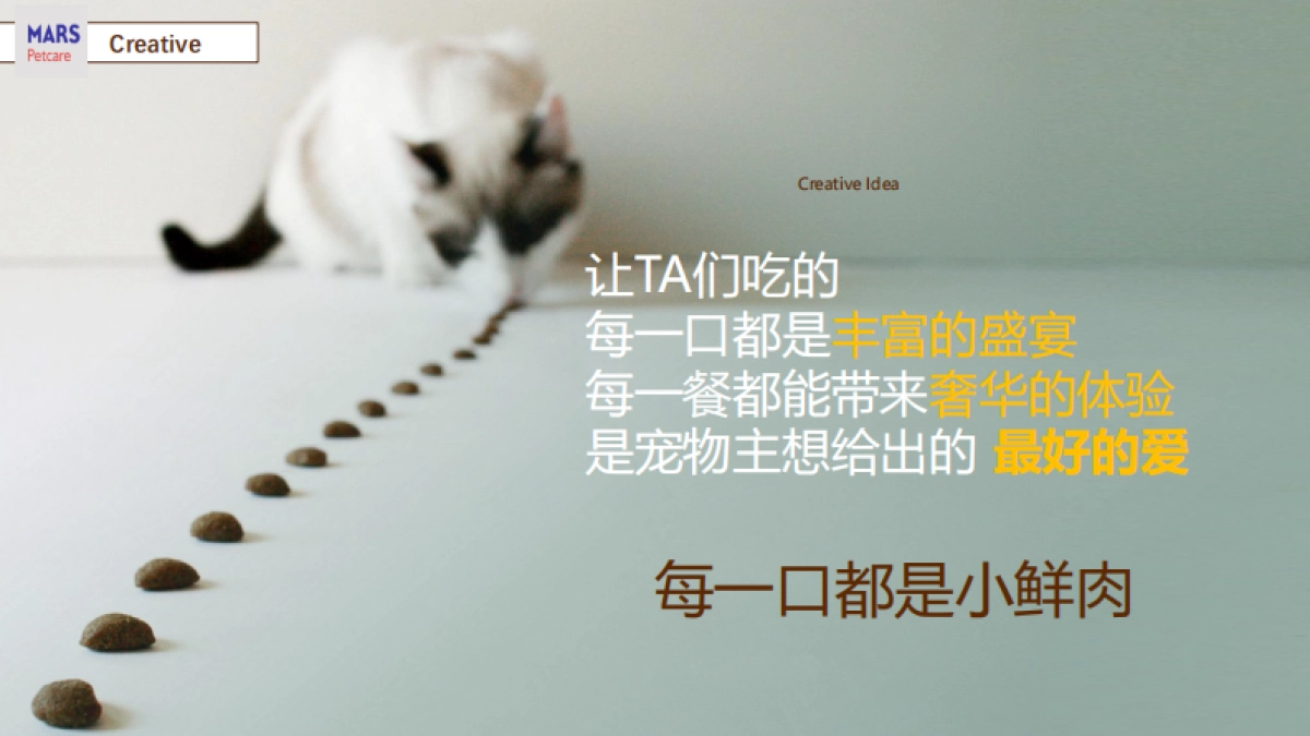 京东玛氏宠物耍大牌营销方案_第6页