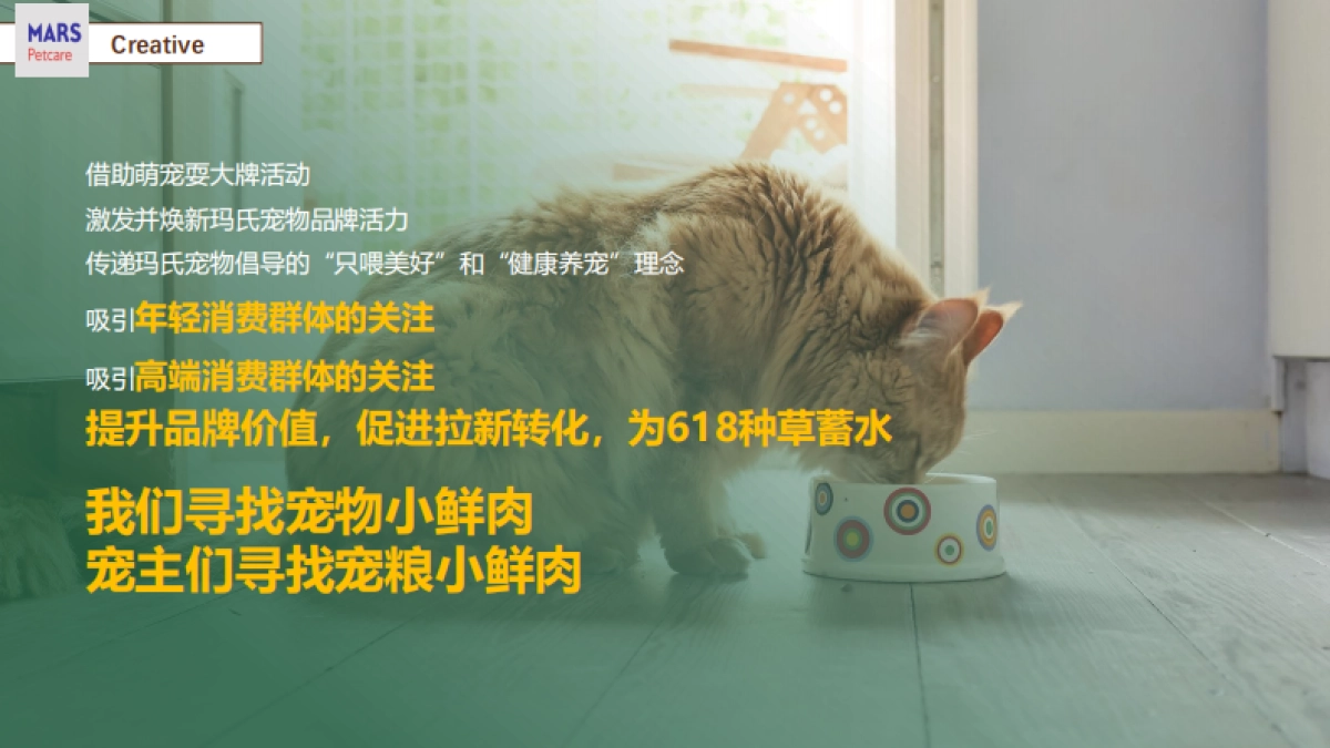 京东玛氏宠物耍大牌营销方案_第8页