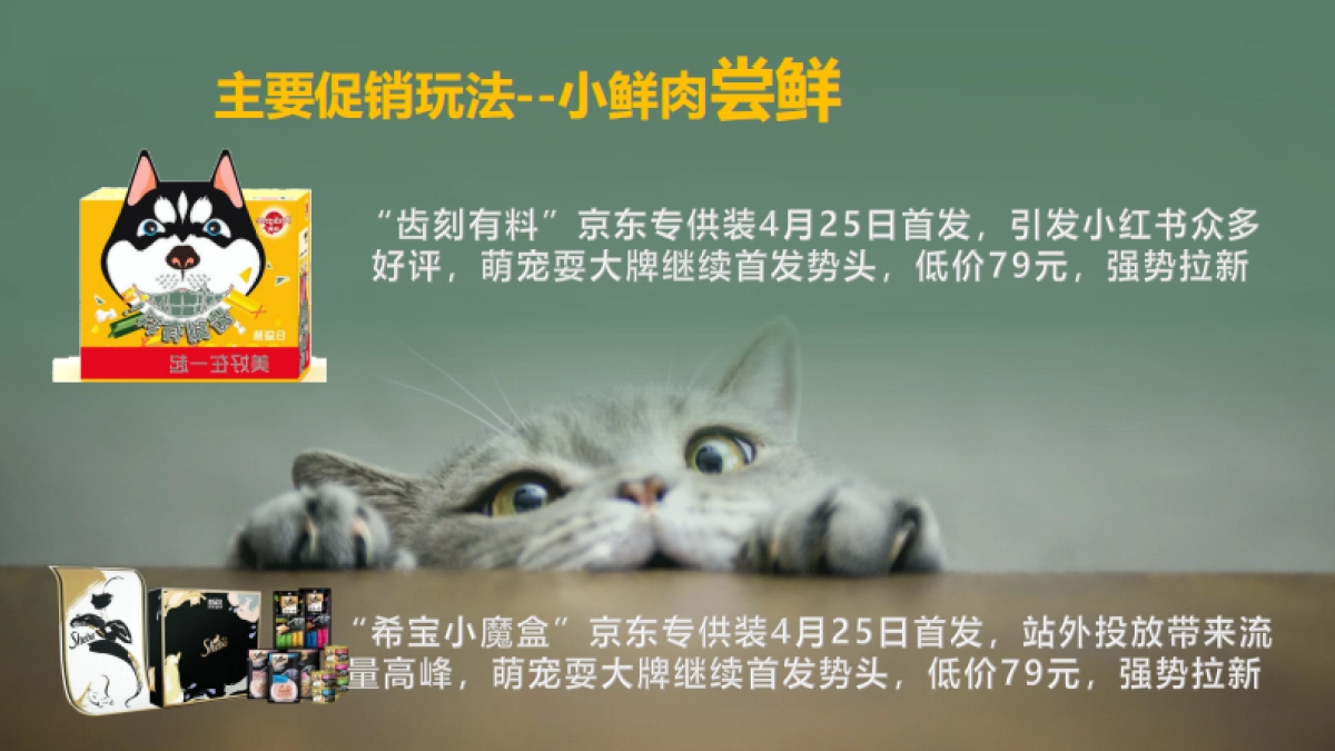 京东玛氏宠物耍大牌营销方案_第9页