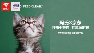 京东玛氏宠物耍大牌营销方案