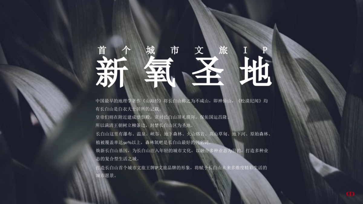 “归心圣地·玩转冰雪”：抖音长白山圣地冰雪旅游节活动思路沟通案_第10页