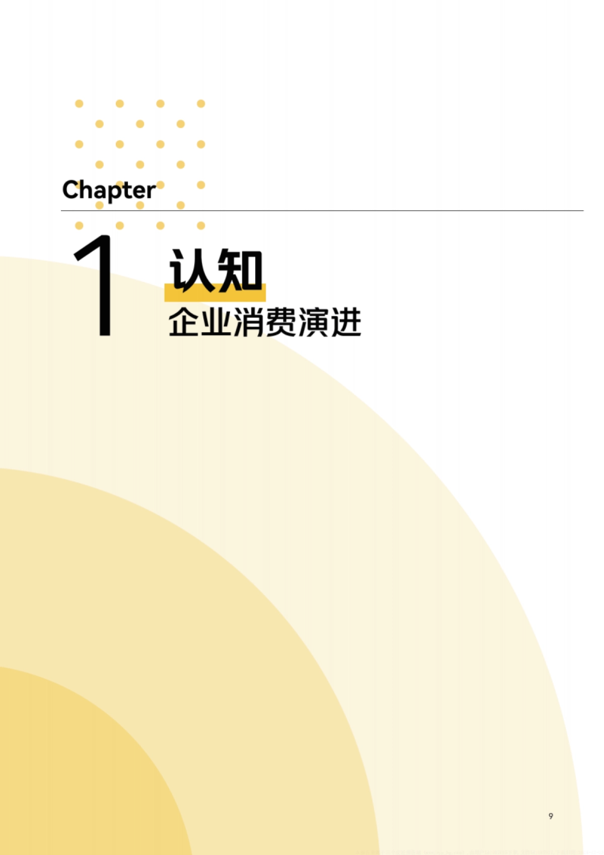 企业消费管理白皮书_第10页