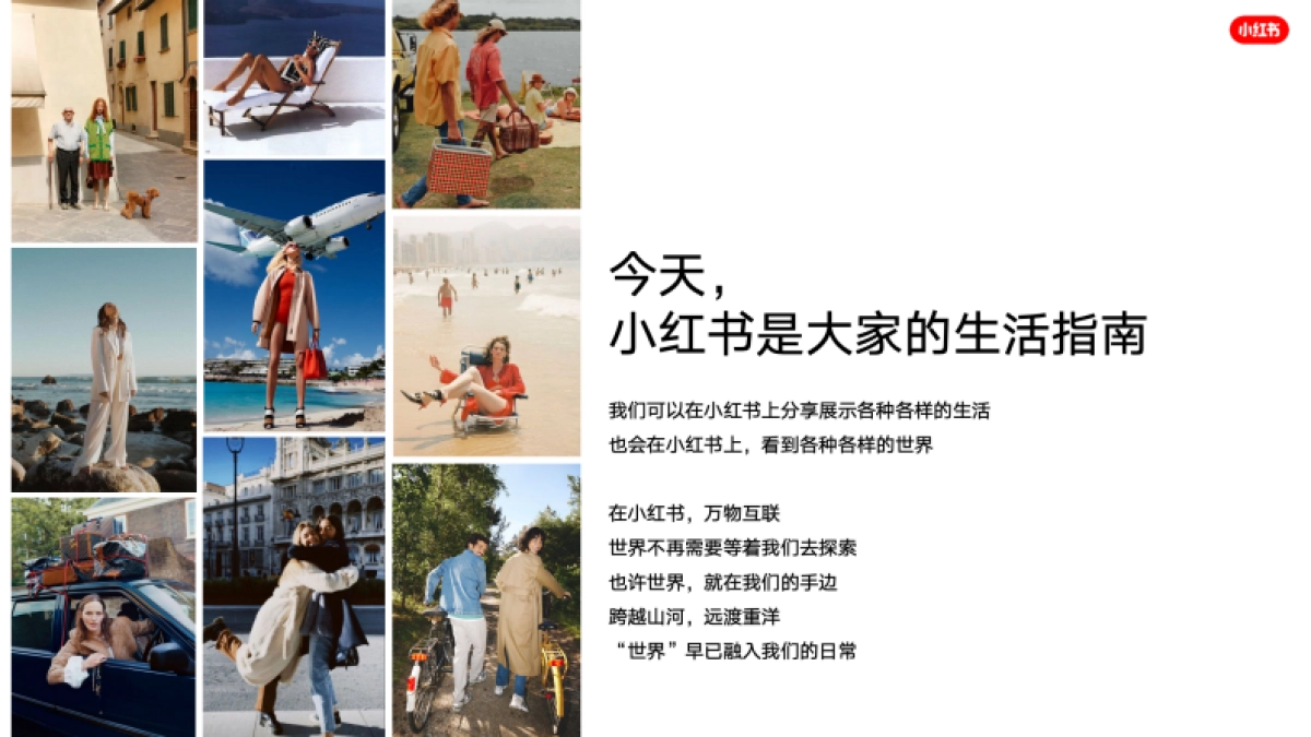 2024小红书溯源看世界IP招商_第3页