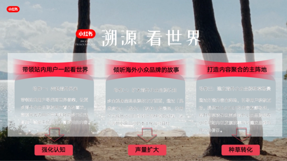 2024小红书溯源看世界IP招商_第5页