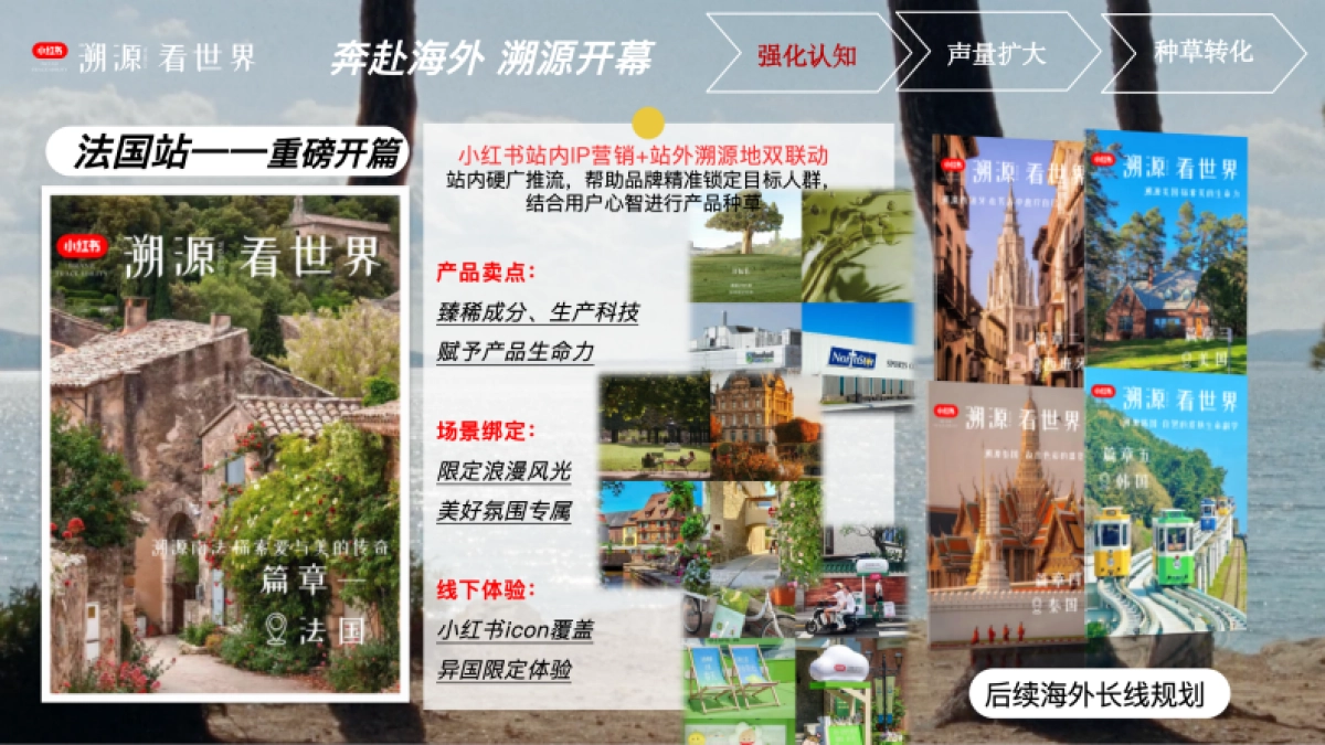 2024小红书溯源看世界IP招商_第7页