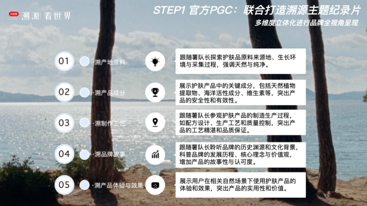 2024小红书溯源看世界IP招商_第8页