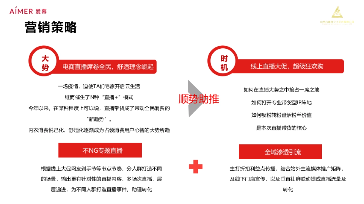 爱慕内衣品牌直播营销方案_第10页
