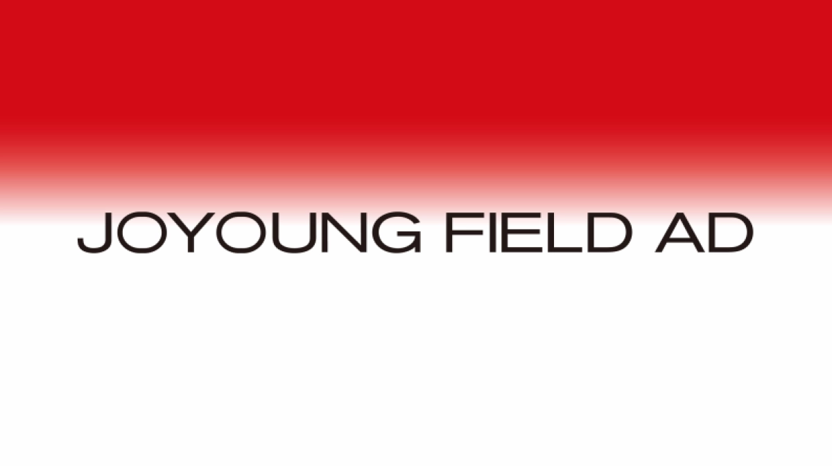 2024汕头保利天汇传播策动方案_第2页