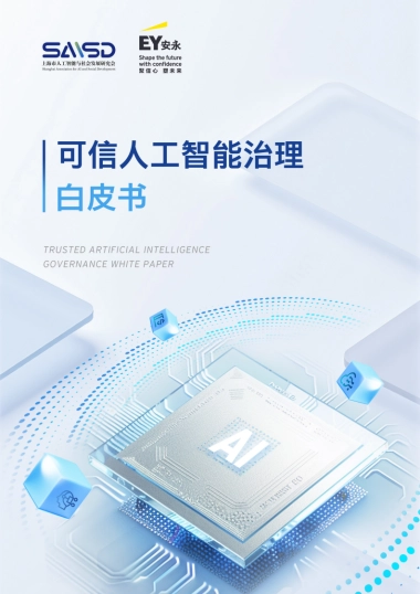 2025可信人工智能治理白皮书