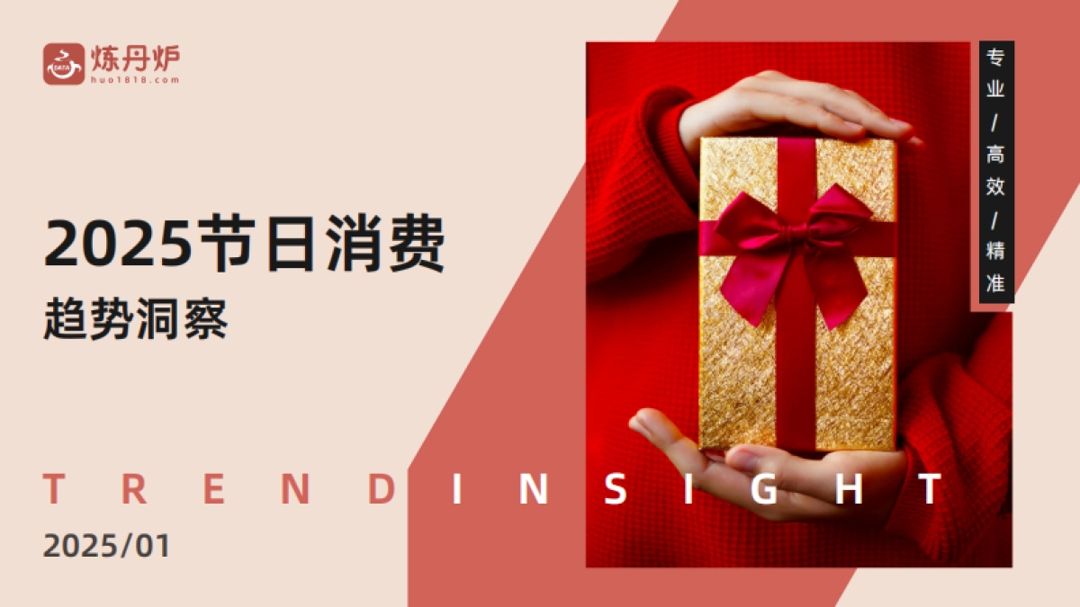 2025年节日营销趋势洞察报告_第1页