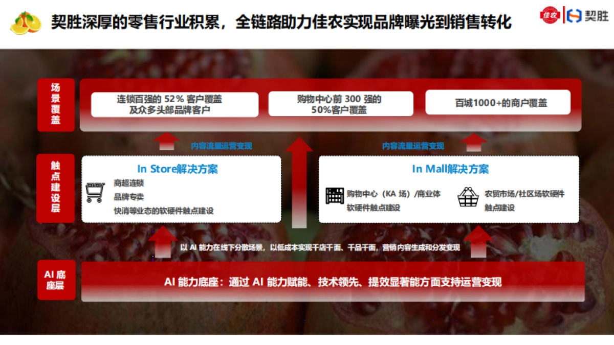 佳农水果X契胜合作方案_第8页