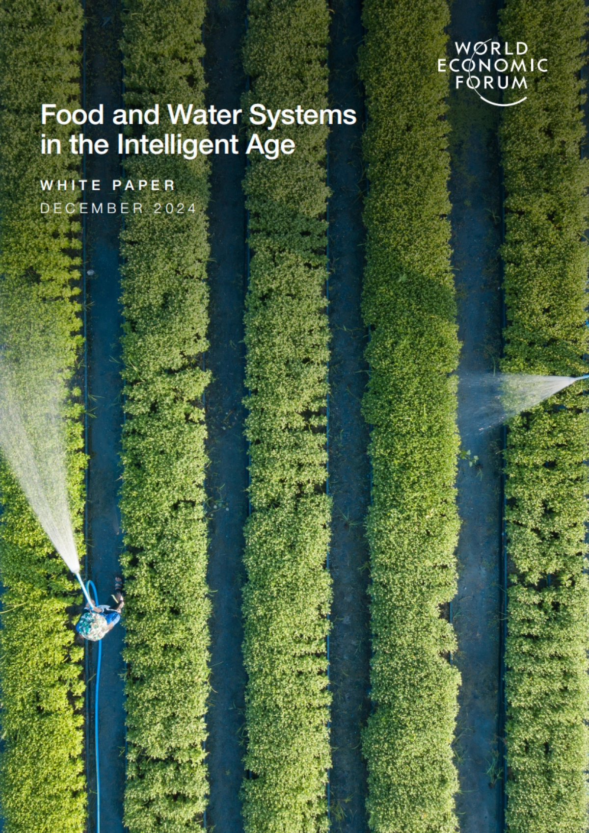 智能时代的食物和水系统研究报告（英文）_第1页