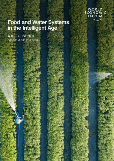 智能时代的食物和水系统研究报告（英文）