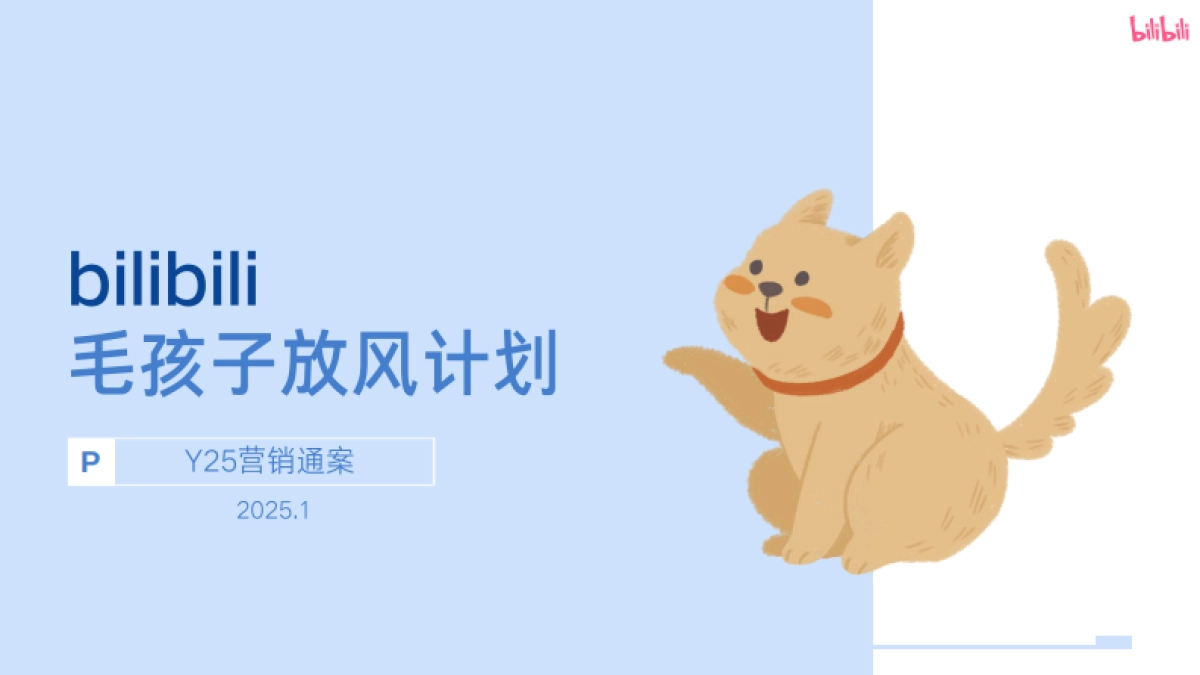 bilibili2025毛孩子放风计划-招商方案_第1页