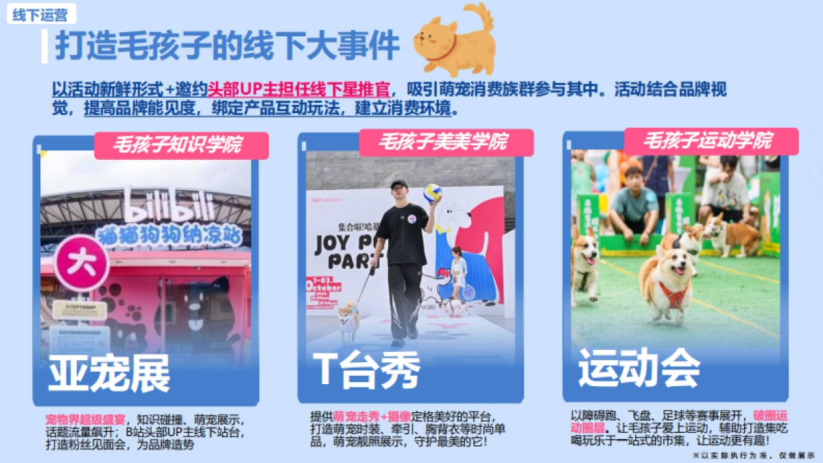 bilibili2025毛孩子放风计划-招商方案_第10页
