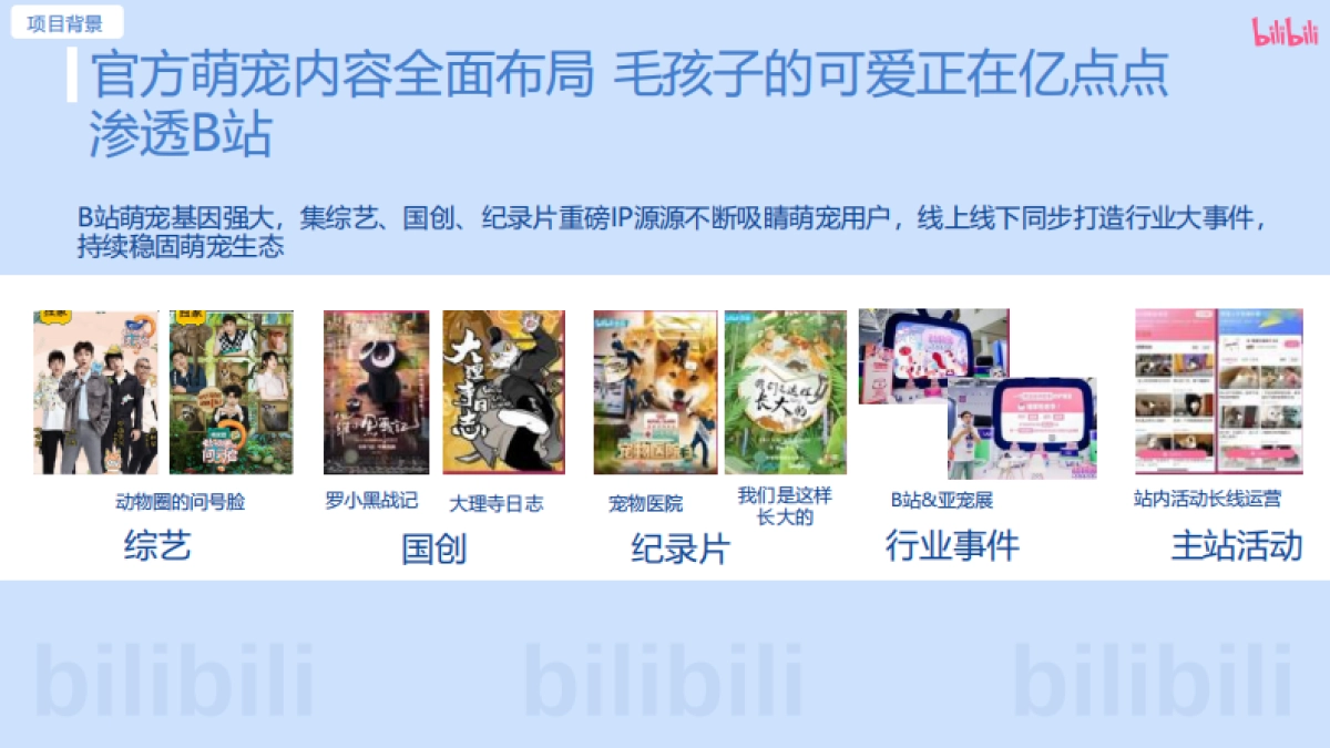 bilibili2025毛孩子放风计划-招商方案_第6页