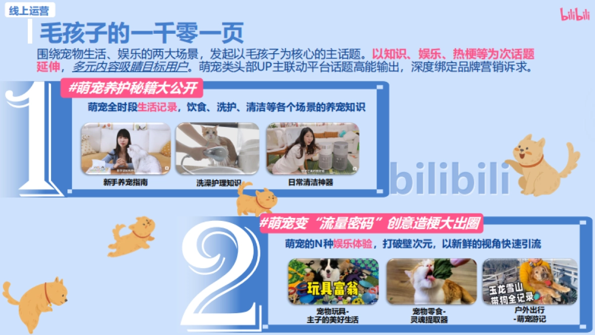 bilibili2025毛孩子放风计划-招商方案_第9页