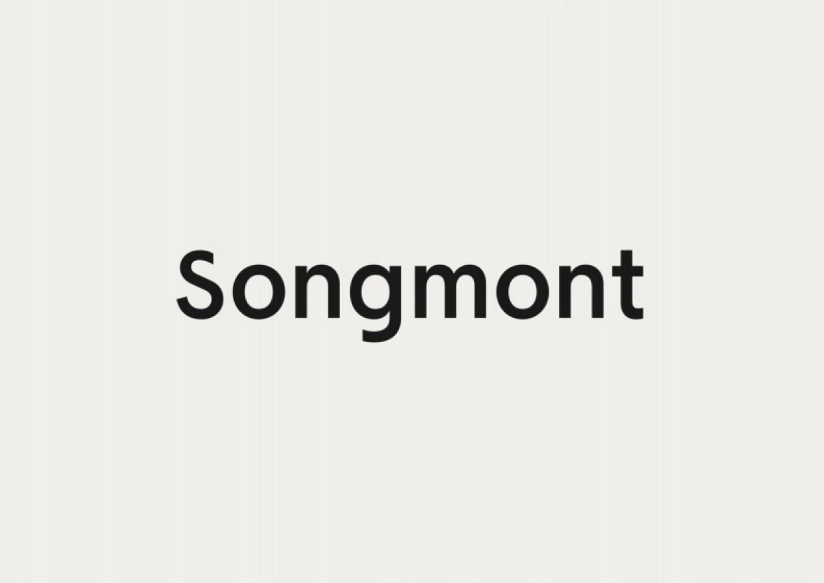 Songmont山下有松品牌资料全收录_第8页