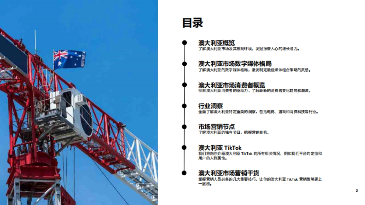 TikTok：2023全球市场百宝书-澳大利亚篇_第3页