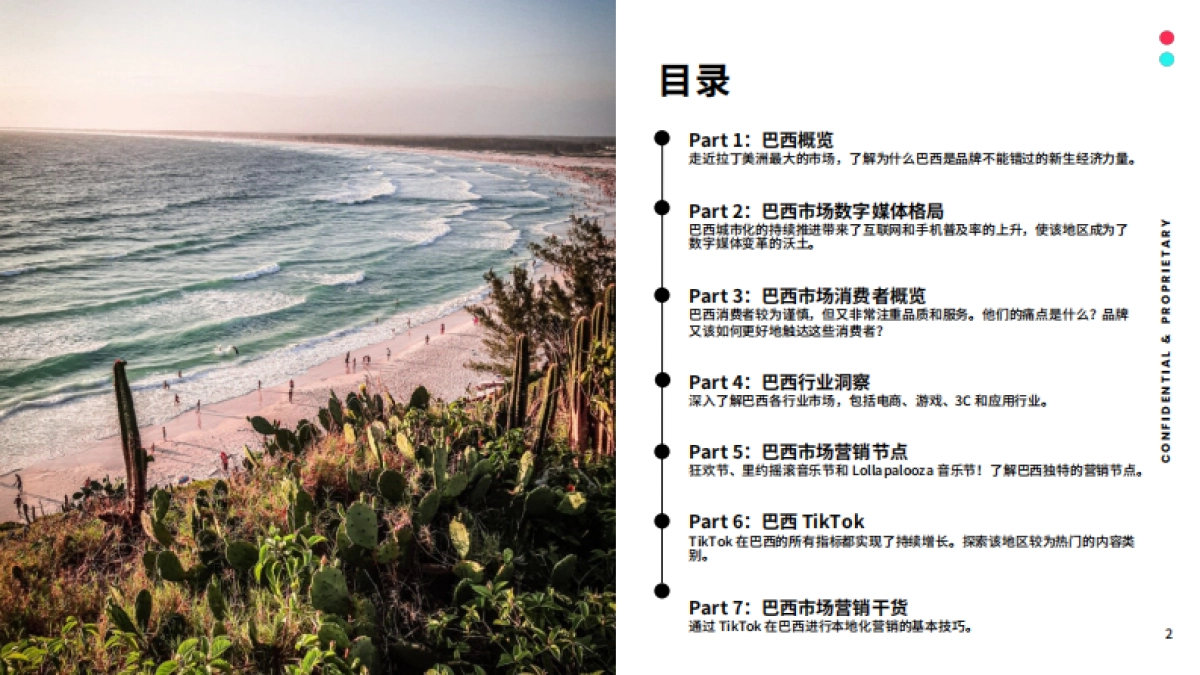 TikTok：2023全球市场百宝书-巴西篇_第2页