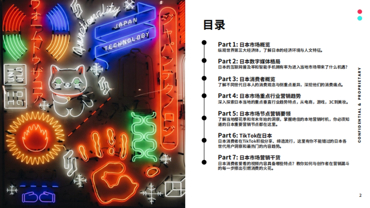 TikTok：2023全球市场百宝书-日本_第2页
