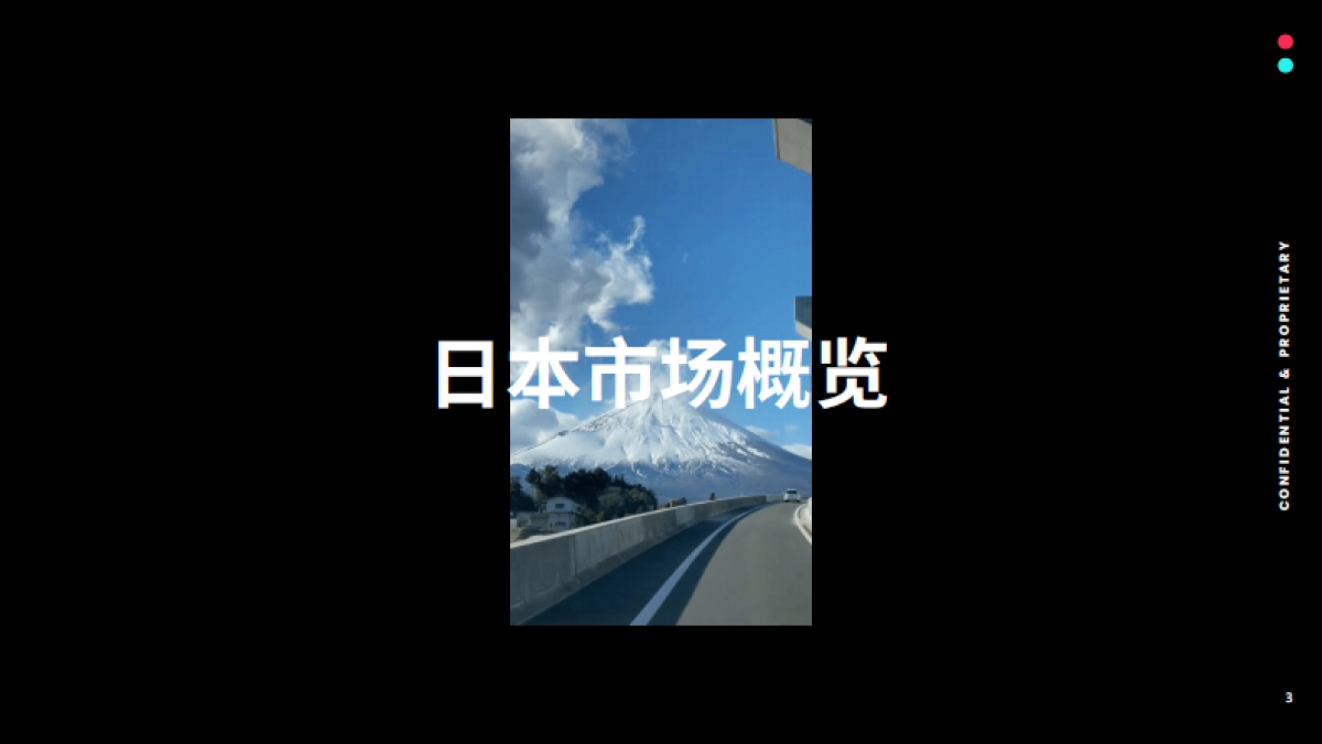 TikTok：2023全球市场百宝书-日本_第3页