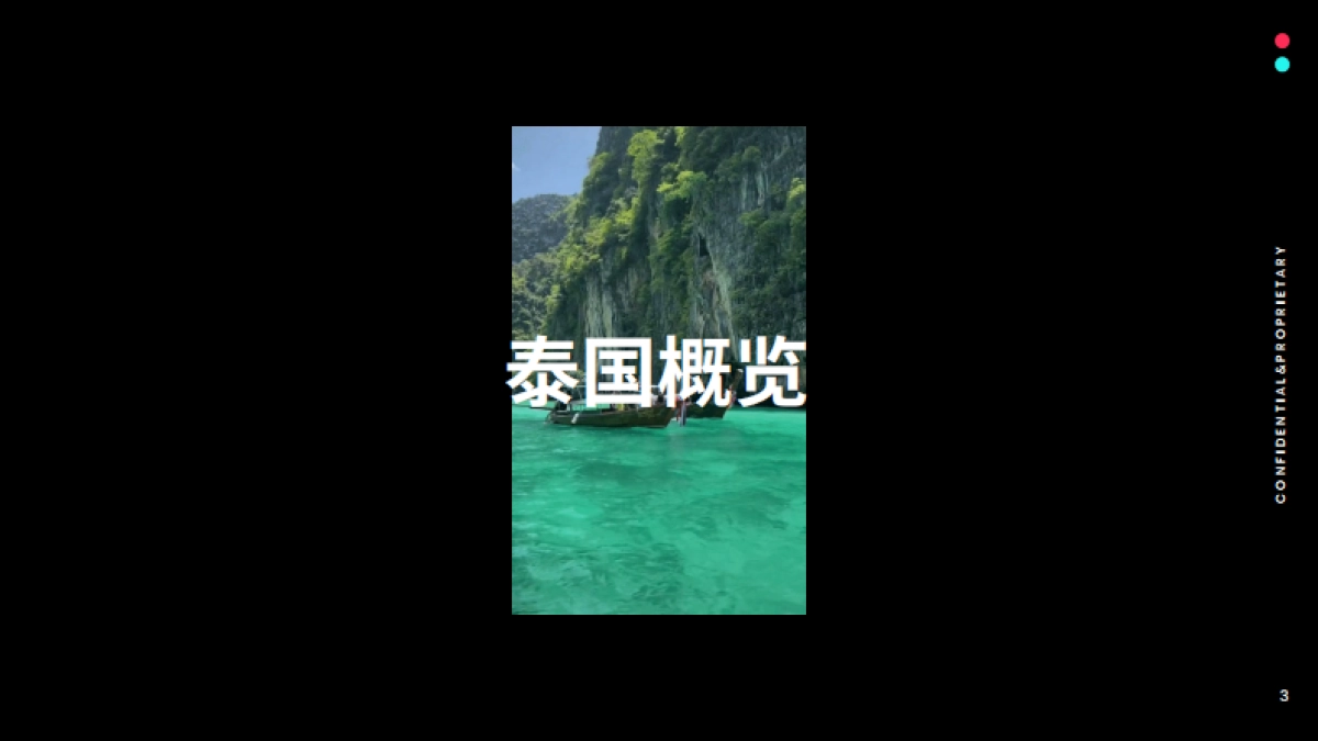 TikTok：2024全球市场百宝书-泰国篇_第3页