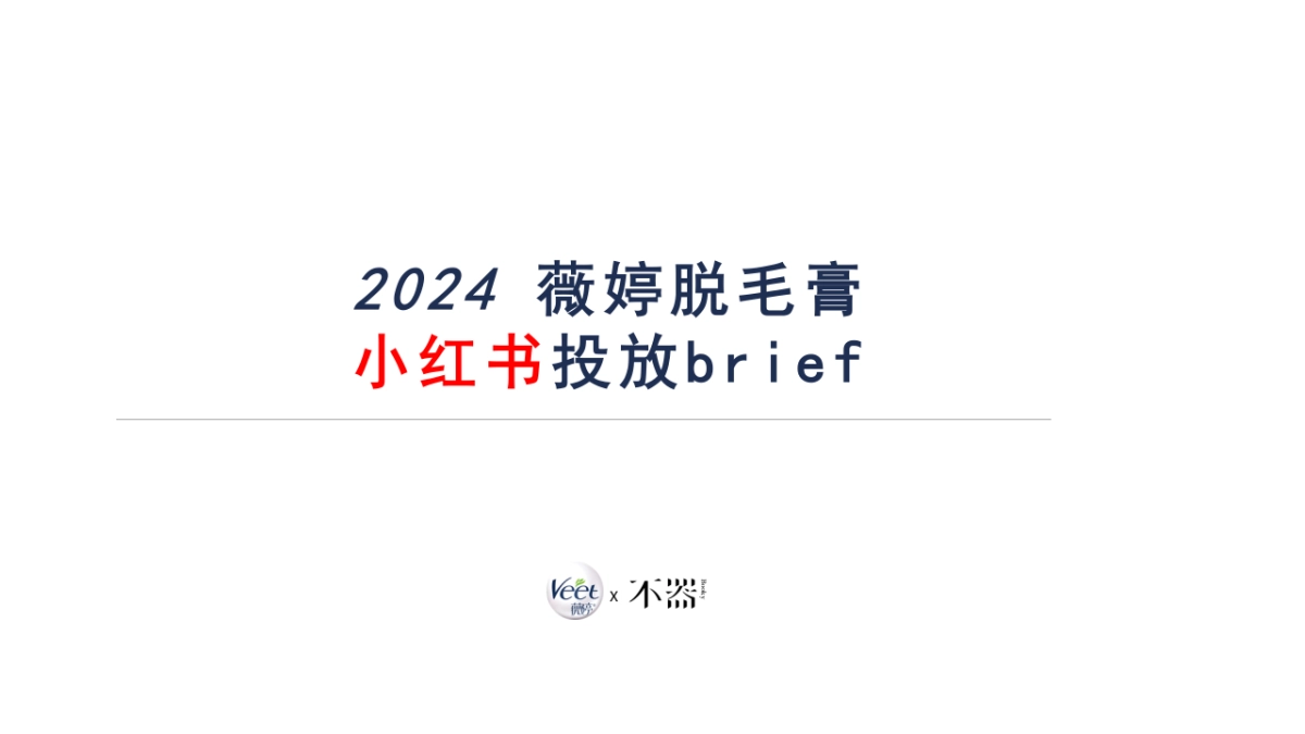24年薇婷脱毛膏brief_第1页