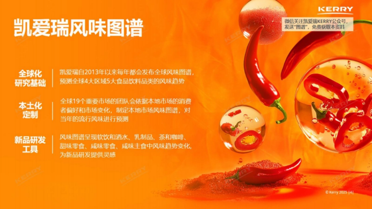 2025中国风味图谱报告_第4页