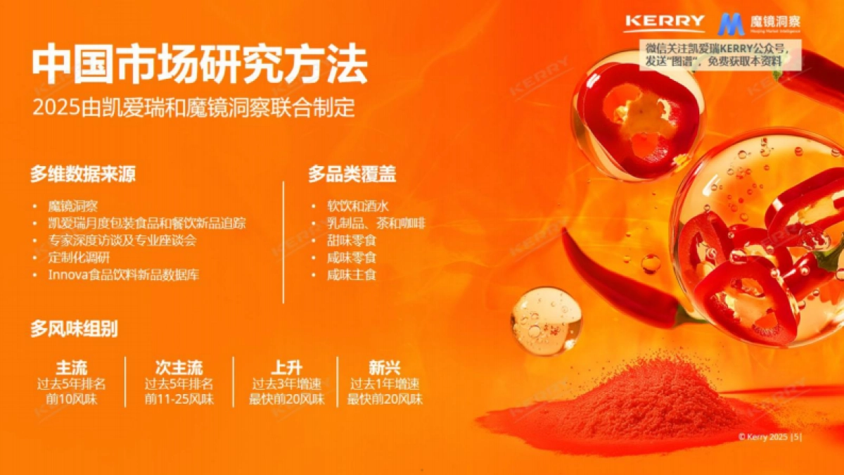 2025中国风味图谱报告_第5页