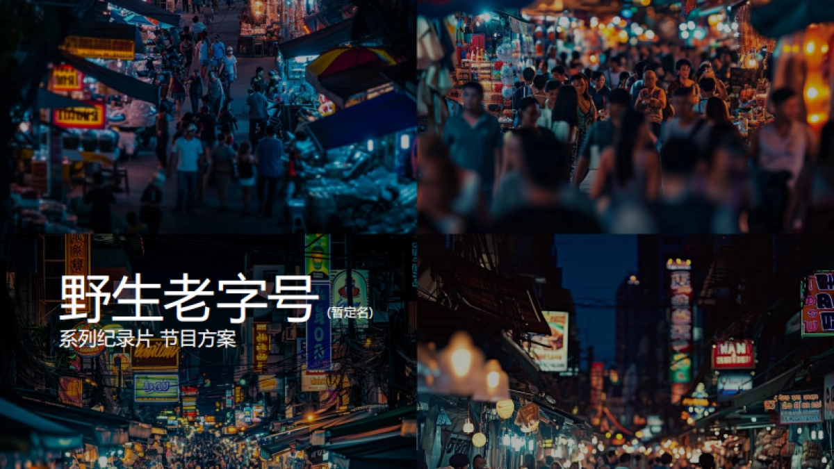 哔哩哔哩纪录片《野生老字号》招商方案_第1页
