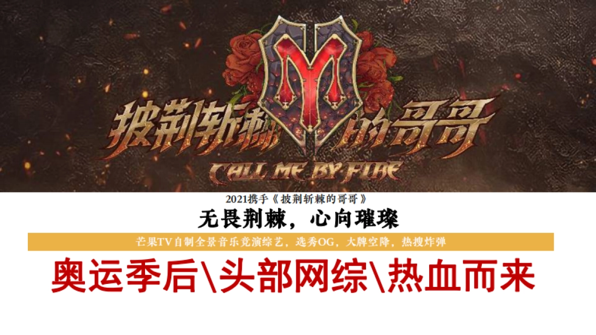 卡萨帝X披荆斩棘的哥哥整合营销传播规划_第9页