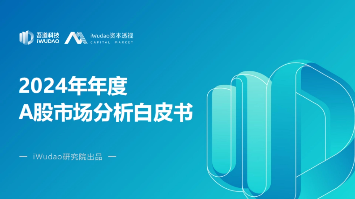 A股市场年度分析白皮书_第1页