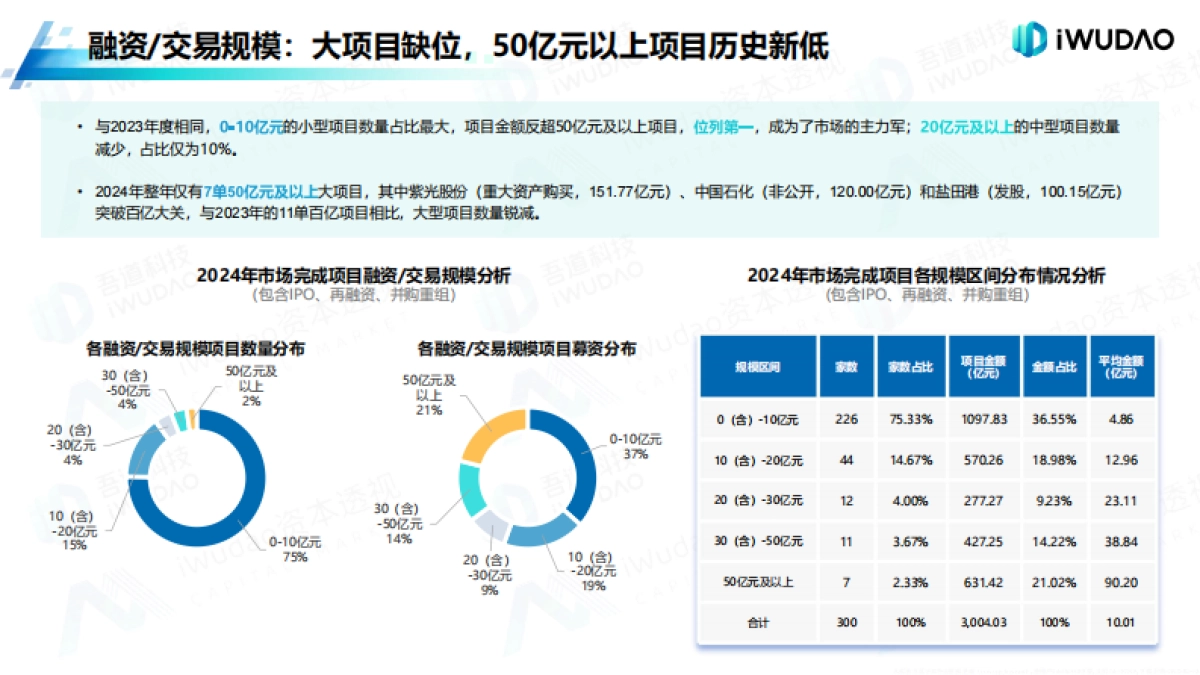 A股市场年度分析白皮书_第10页