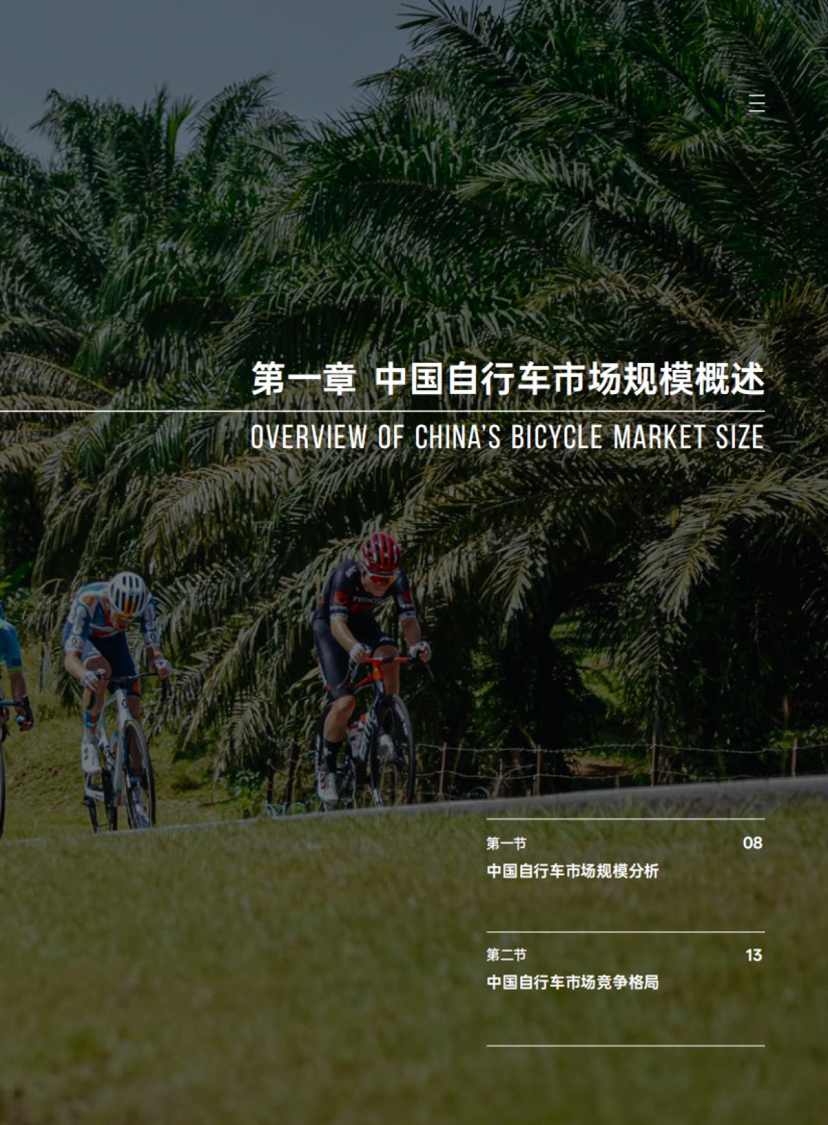 2024年中国自行车行业调查报告-美骑网&京东-2025-128页_第10页