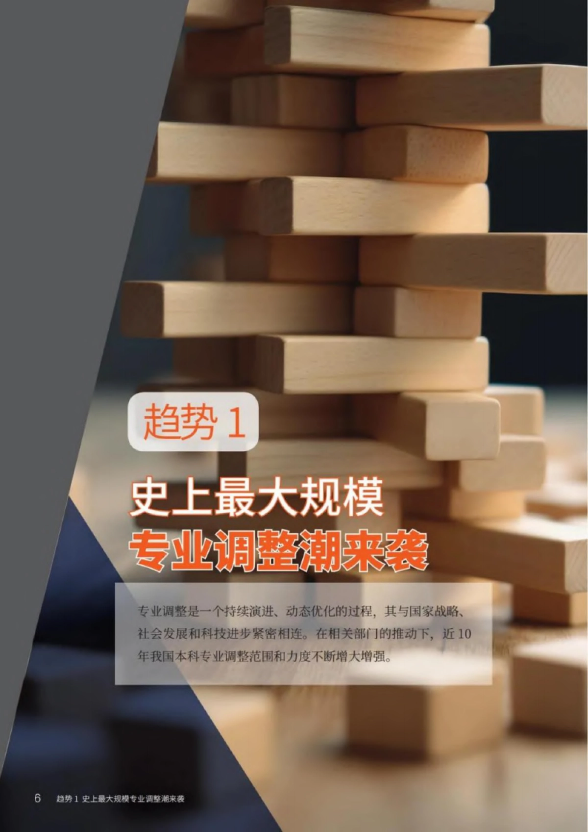 2025中国-世界高等教育趋势报告-麦可思研究-2025-76页_第10页