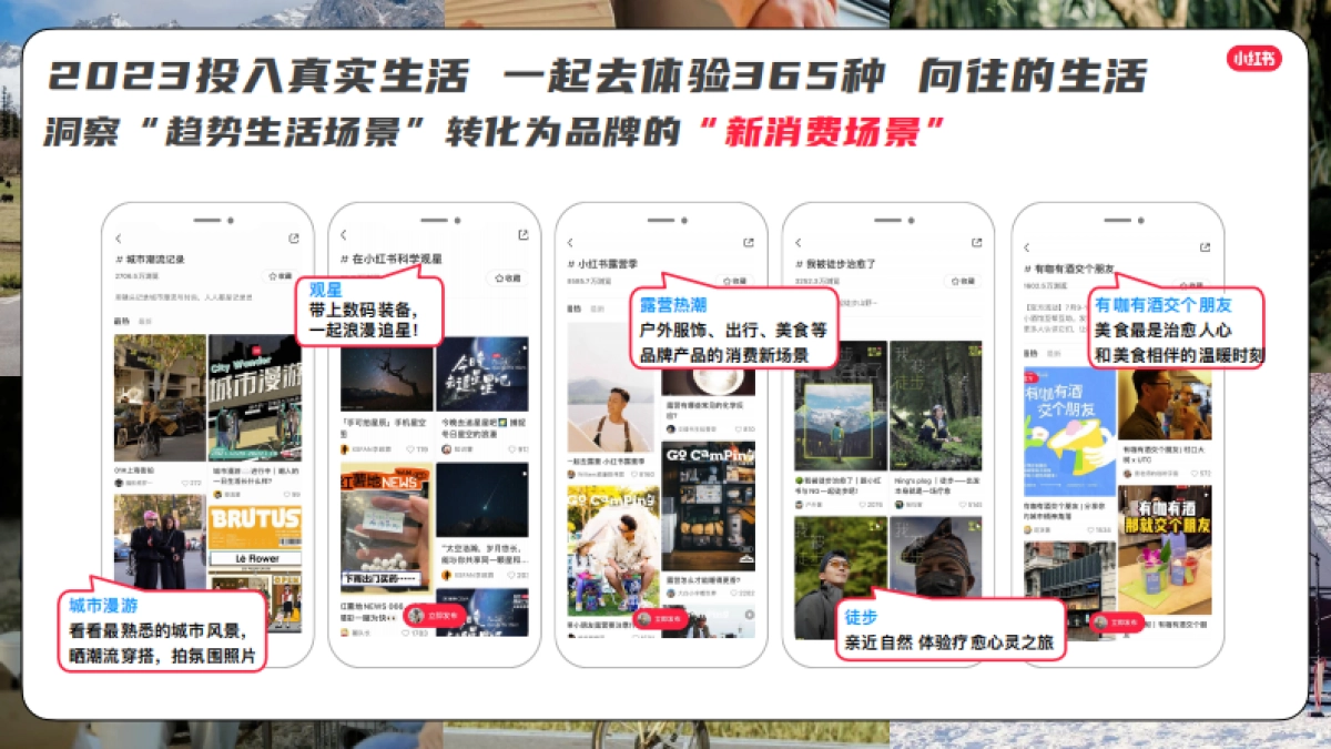 小红书我就要这样生活_第4页