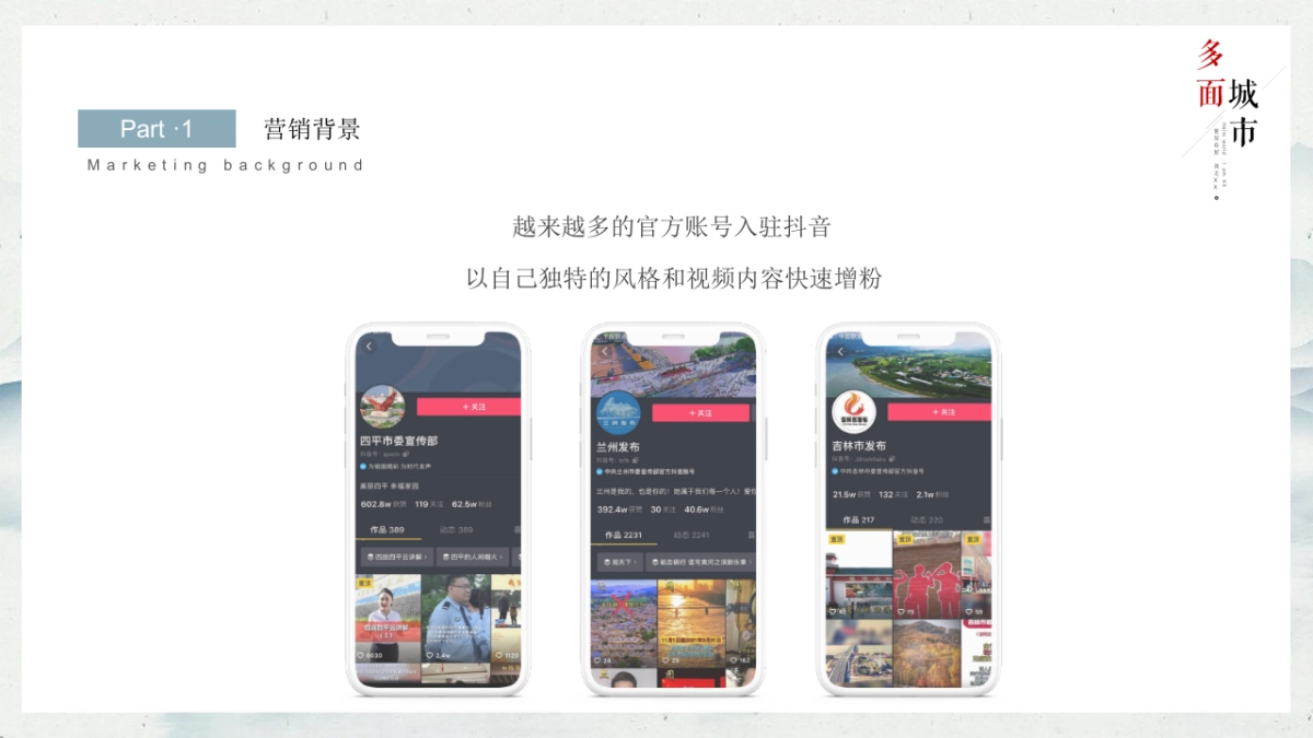 政务机构抖音号全年运营规划_第5页