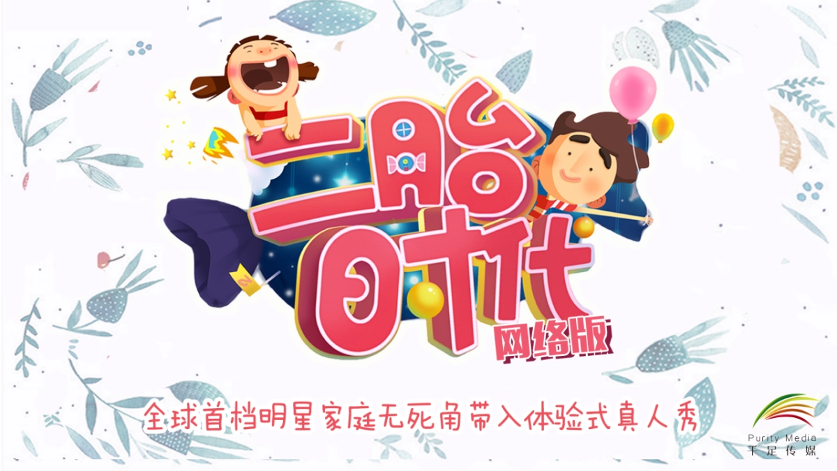 《二胎时代2.0》网综合作方案_第2页