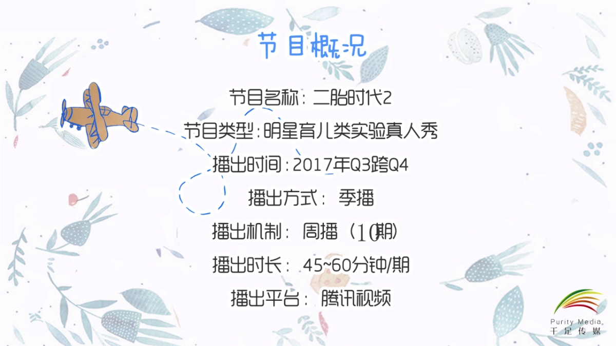 《二胎时代2.0》网综合作方案_第3页