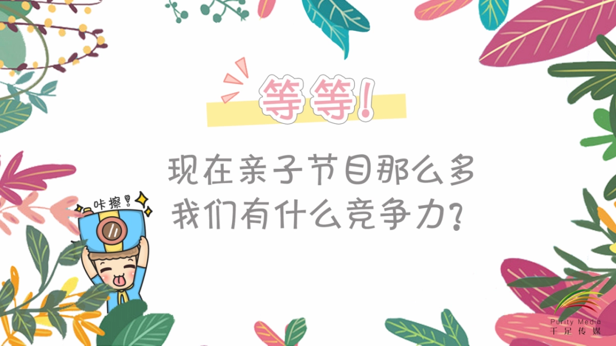 《二胎时代2.0》网综合作方案_第4页