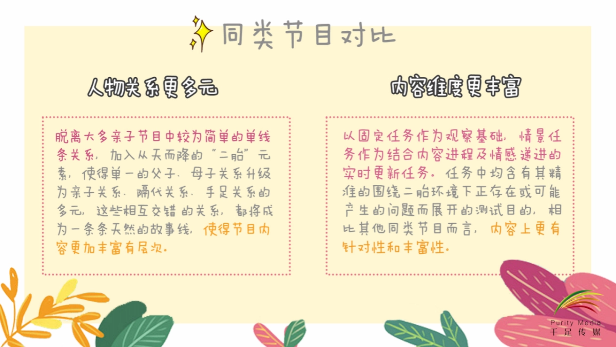 《二胎时代2.0》网综合作方案_第5页