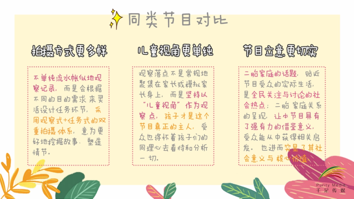 《二胎时代2.0》网综合作方案_第6页