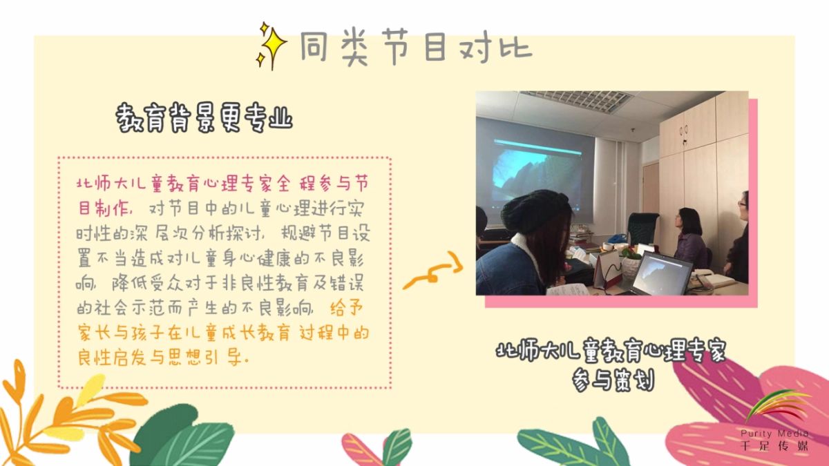 《二胎时代2.0》网综合作方案_第7页