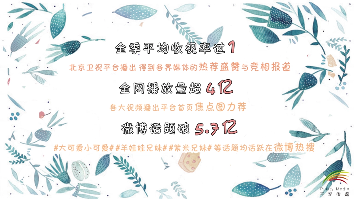 《二胎时代2.0》网综合作方案_第9页