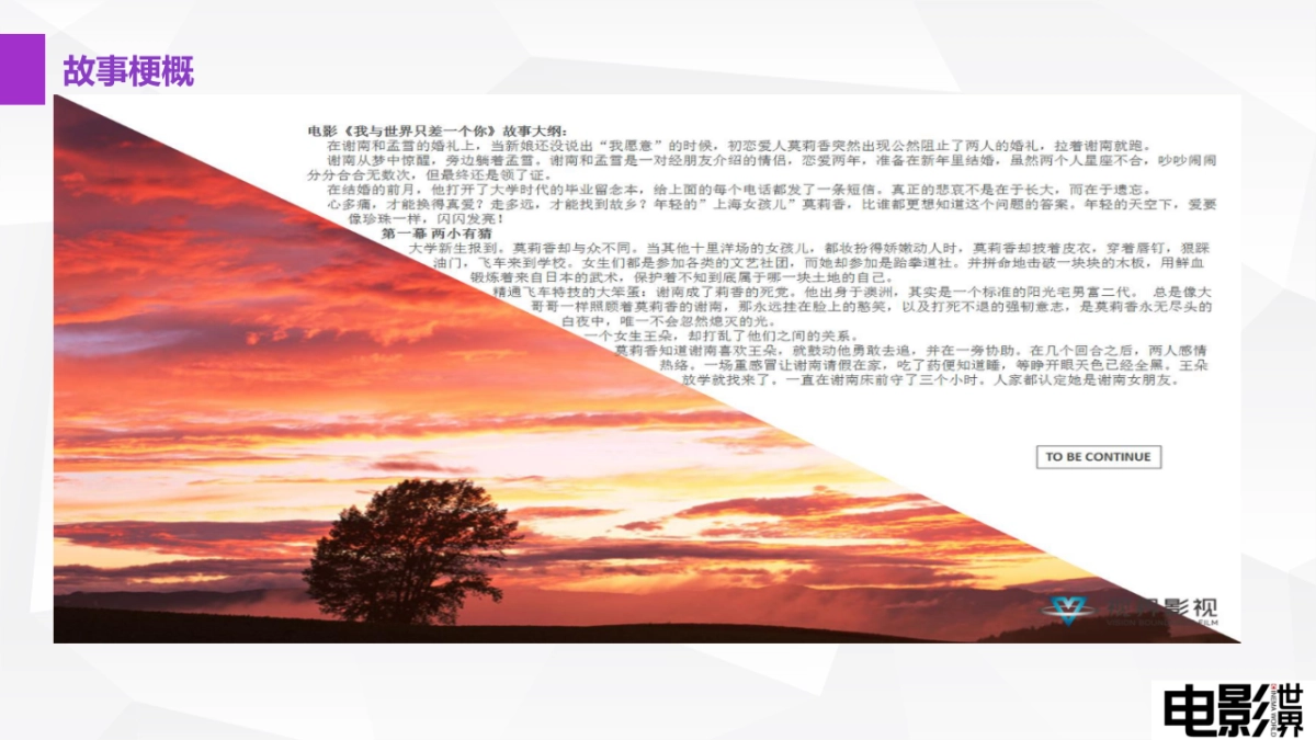 《我和世界只差一个你》宣发方案_第5页