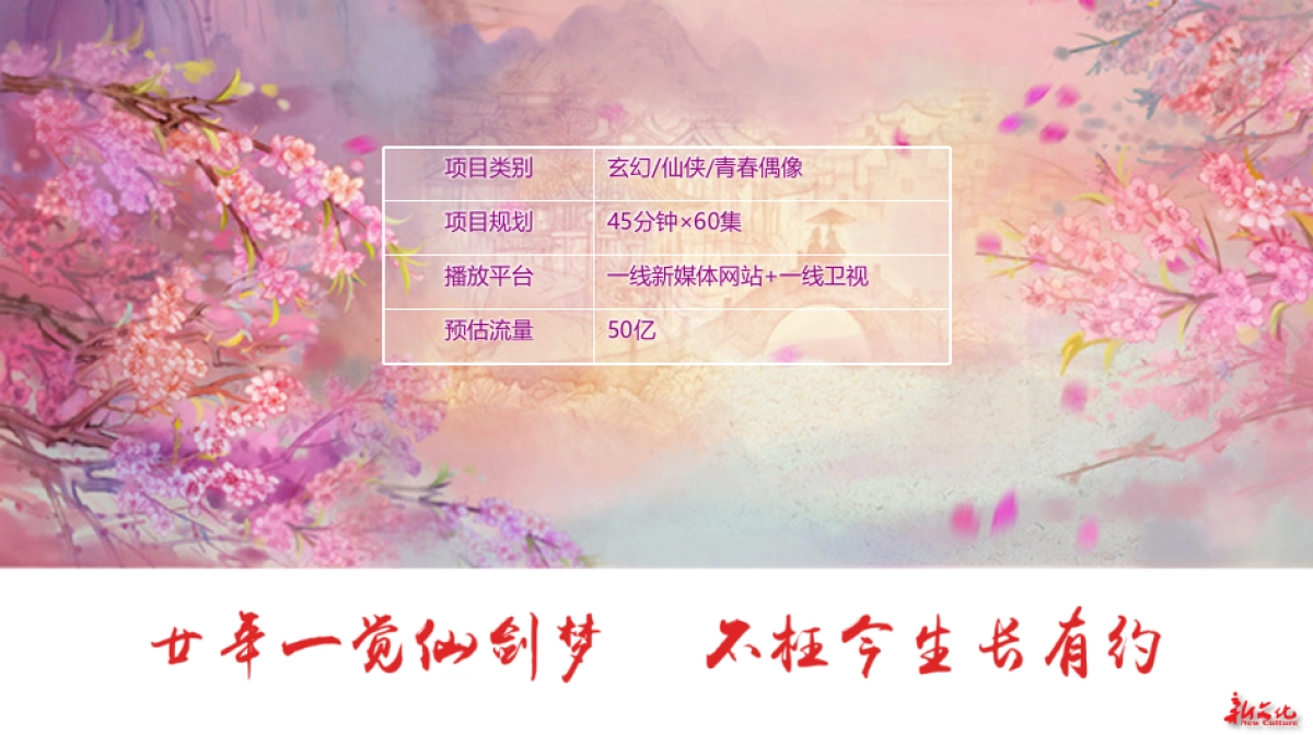 《仙剑奇侠传4》电视剧企划书_第2页