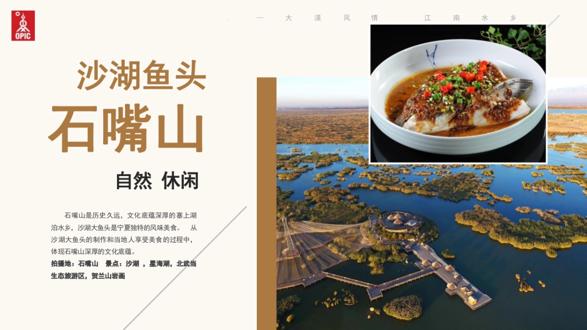 《中国味道—宁夏美食之旅》系列微纪录片_第10页