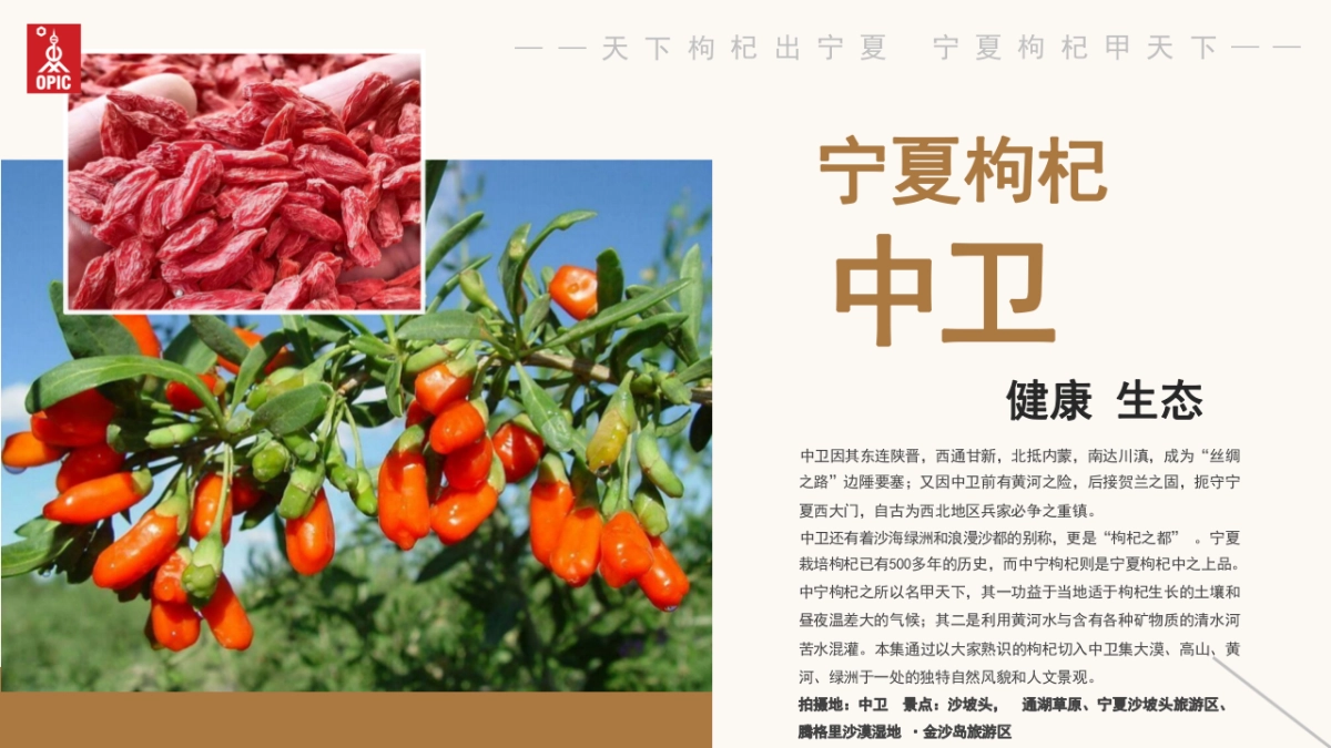 《中国味道—宁夏美食之旅》系列微纪录片_第9页