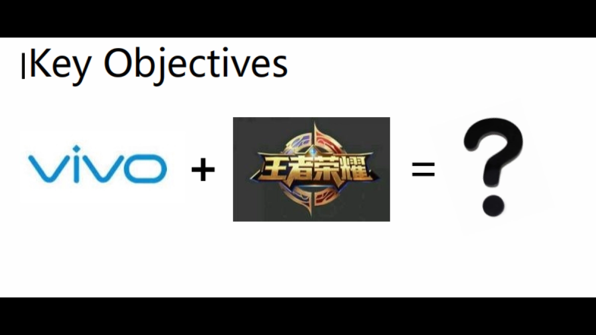 2017vivo王者荣耀大篷车全国巡展计划99p_第4页